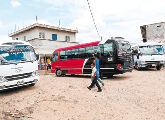 Levantan censo de buses ilegales