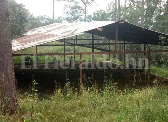 Continúan los aseguramientos de bienes en el norte de Honduras