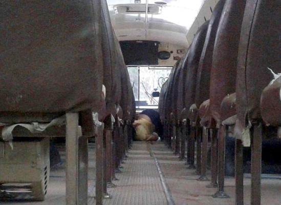 Honduras: Asesinan a mujer dentro de su vivienda