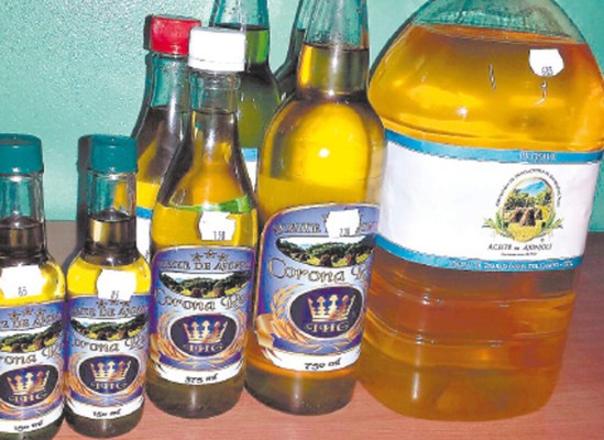 Productores elaborarán aceite de ajonjolí