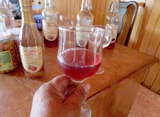 Delicias a base de frutas hechas en Güinope