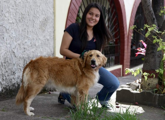 Rasgos únicos y especiales de los golden retriever