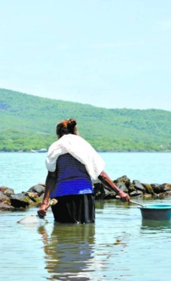 Mujeres marisqueras revalorizan recursos del Golfo de Fonseca