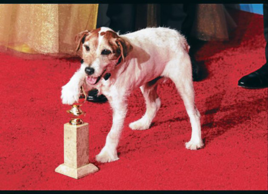 Uggie es la mascota más nominada de Hollywood