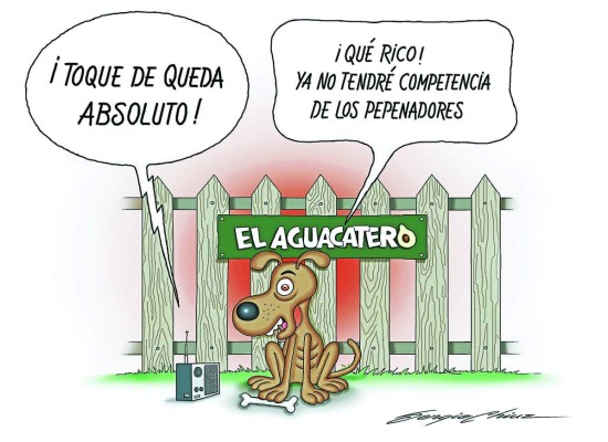 Todos los basureros serán para mí