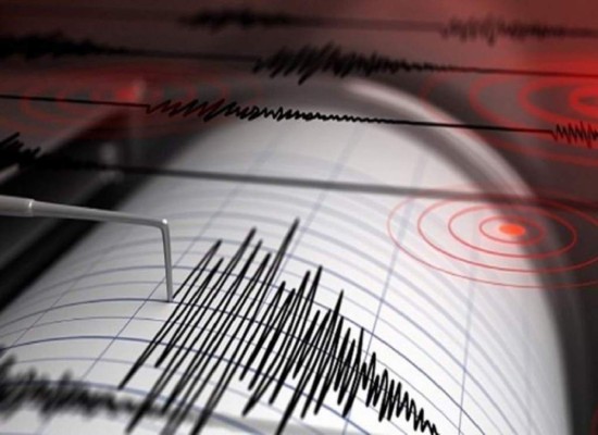 El centro nacional de alertas de tsunami estadounidense informó que está analizando el temblor 'para determinar el nivel de peligro'.