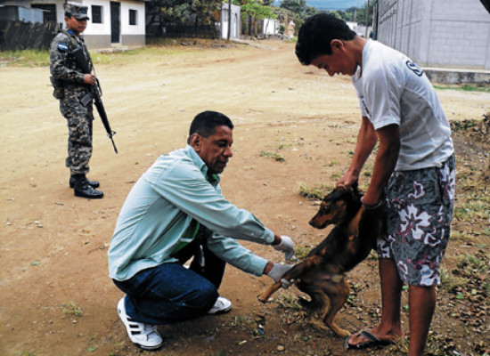 Salud pretende erradicar los casos de rabia canina