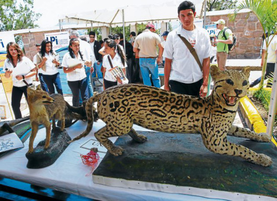 Promueven proyectos de protección del ambiente