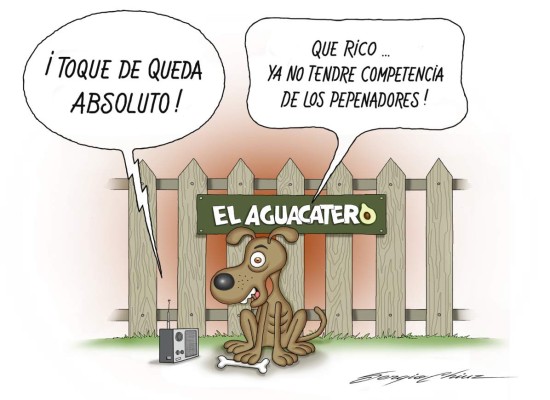 Todos los basureros serán para mí