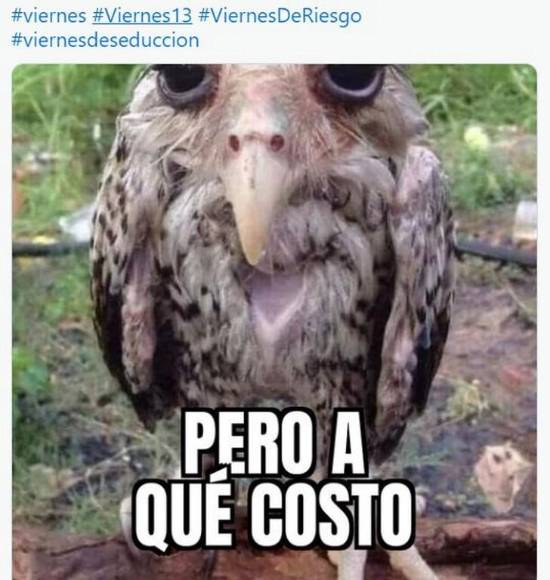 ¿Un día de mala suerte? Los mejores memes por ser viernes 13