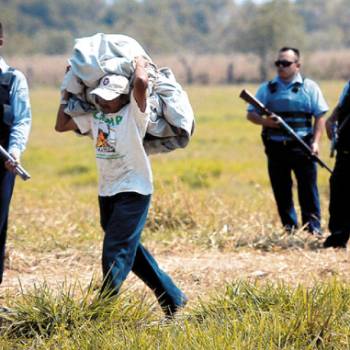 <div class='Quickread' id='DTElementID-3500504'> <p class='NormalParagraphStyle'><p>Por su parte, el INA aseveró que no está promoviendo ni tolerando tomas ilegales de tierras por parte de los campesinos, aunque reconoce que hay unas 300 mil familias que urgen de tierras.</p></p> </div>