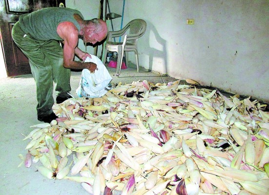 En 25 municipios del sur se perdieron cosechas