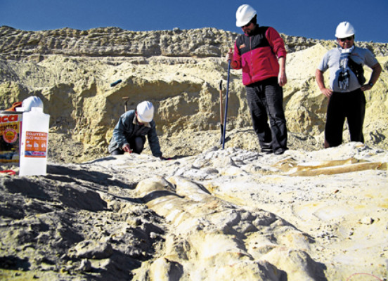 Misterio para la ciencia