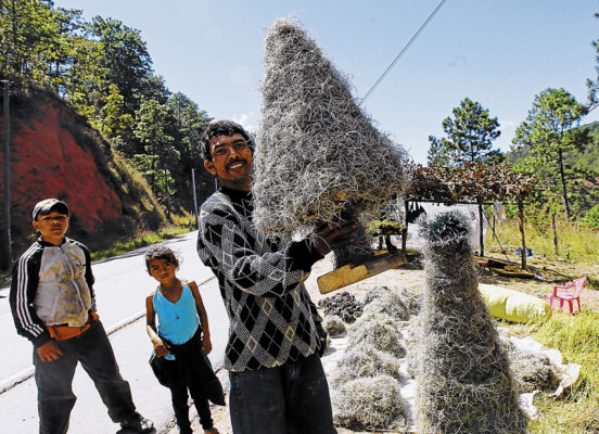 Productos del campo adornan la Navidad