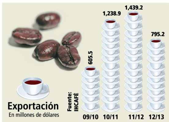Evolución de las exportaciones de café bajan en 55.8 millones de dólares