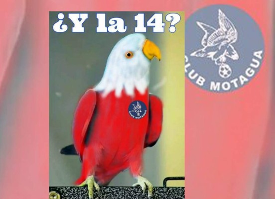 ¡Llegaron los imperdibles memes!