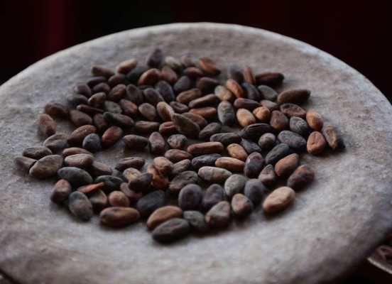 El museo del cacao en Roatán, dulce estación en el caribe