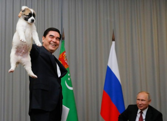 Putin, amante de los perros, recibe cachorro como regalo