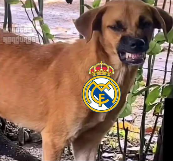 Barcelona se burla: Los memes tras la eliminación de Real Madrid por Bayern en Champions League