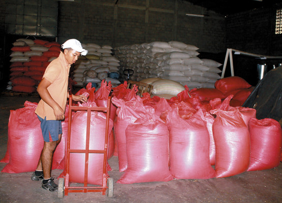 Temen perder producción en El Paraíso por falta de mercado