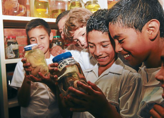 Modelo innovador y pragmático de la enseñanza