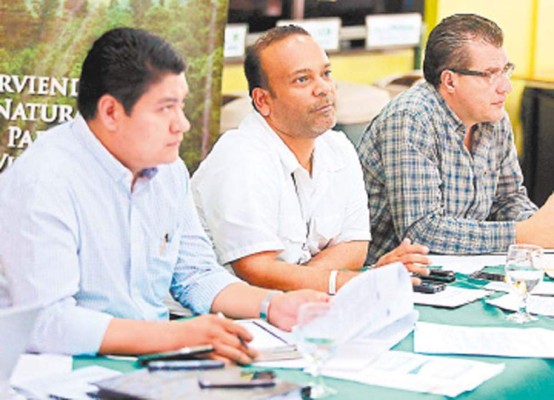 Dañadas 124 mil hectáreas de bosque hondureño