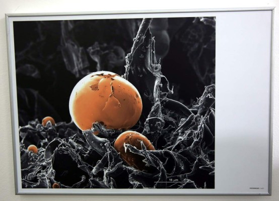 Una visión de la ciencia a través del arte