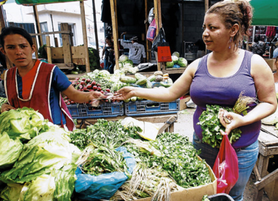 Sexto paquete fiscal gravará canasta básica, advierten productores hondureños
