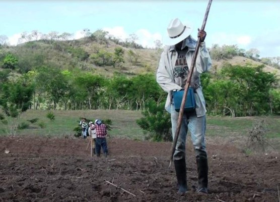 Llaman a agricultores a no comenzar jornada de siembra en el país