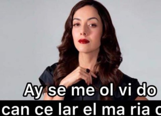Los divertidos memes que ha generado la nueva serie de Netflix 'La Casa de las Flores'