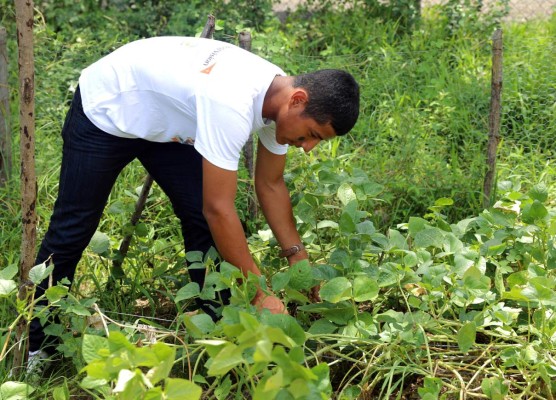 'Quiero ir a la universidad y ayudar a mi escuela”, niño trabajador en laguna de camarón