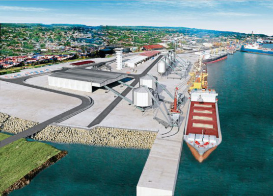 Consorcio invertirá 1,000 millones en muelles de graneles de Cortés