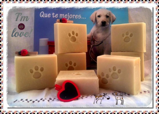 Trastornos de la piel en su mascota