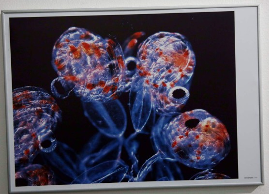 Una visión de la ciencia a través del arte