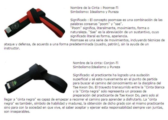 Miguel Ferrera nos muestra cómo practicar el taekwondo