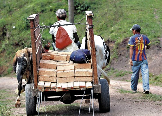 Construyen y mejoran casas en Montaña de la Flor