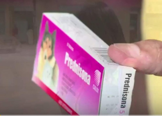 Pacientes con trasplantes recurren a medicamentos veterinarios ante escasez