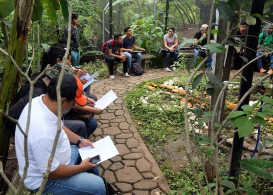 Uno de los cinco mariposarios del país se encuentra en Tegucigalpa