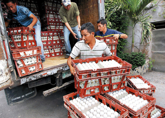 Policía decomisa 462 cajas de huevos que habían sido robadas
