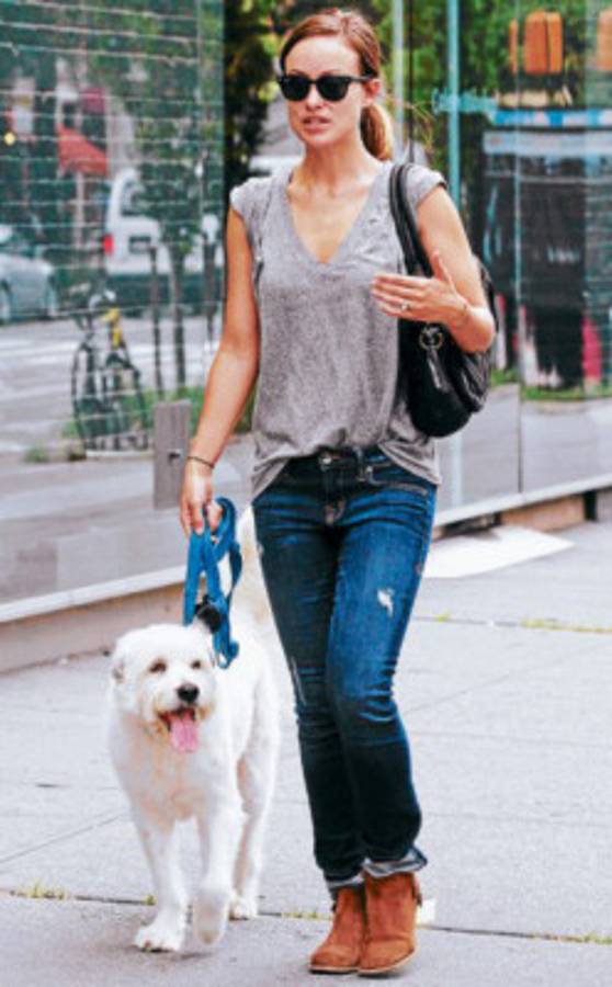 Estrellas que lo dan todo por los perros abandonados