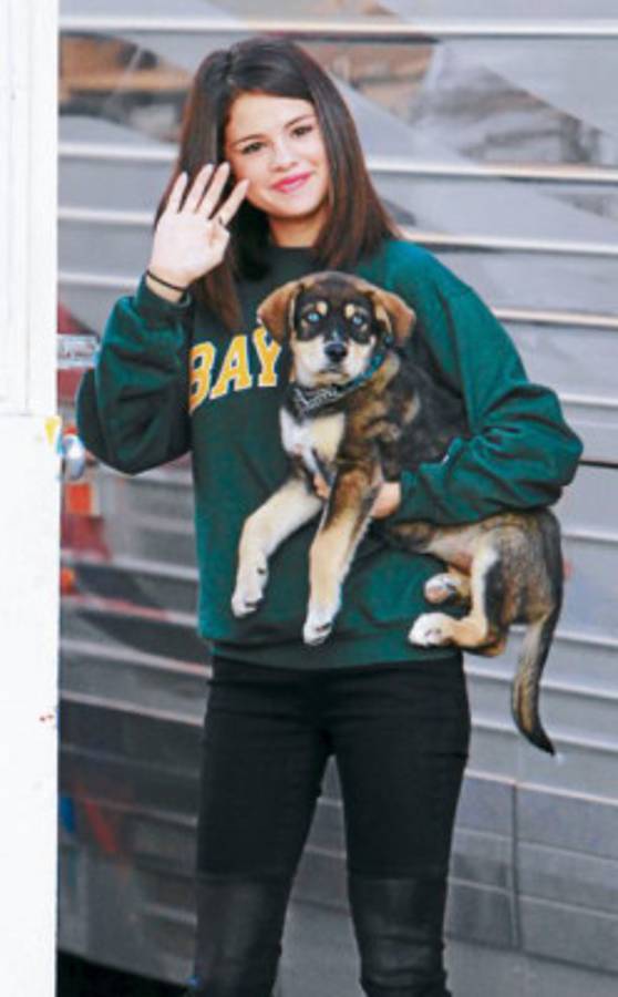 Estrellas que lo dan todo por los perros abandonados