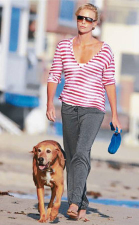 Estrellas que lo dan todo por los perros abandonados