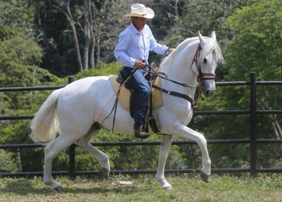 Disfrute la vida del campo en Hacienda Montecristo, Copán