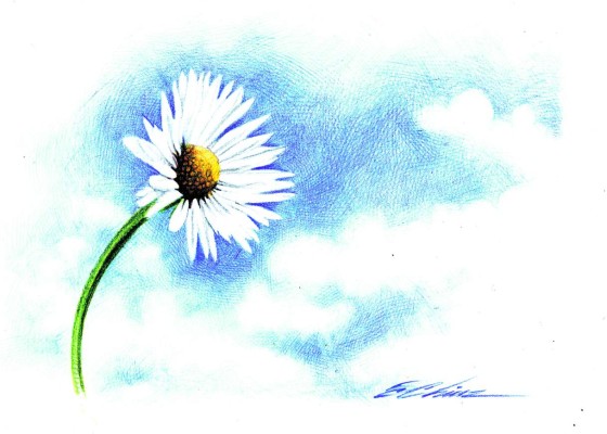 Carmilla Wyler: No me digas adiós