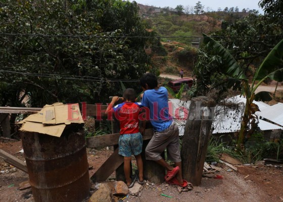 Venden leña, cuidan a sus hermanos o ayudan en casa: los niños que dejaron las escuelas por el covid