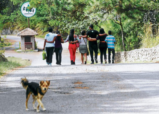 Parque El Picacho, pulmón y centro de esparcimiento en Tegucigalpa