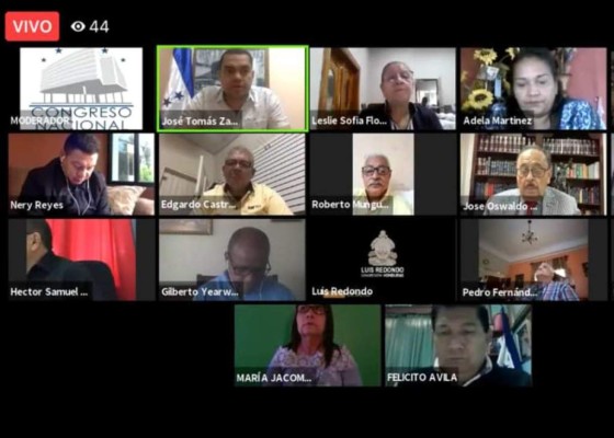 El Congreso Nacional se ha visto obligado a retroceder en dos ocasiones en 2020