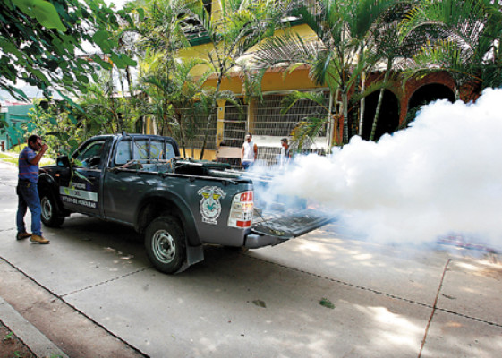 Masiva fumigación en la capital
