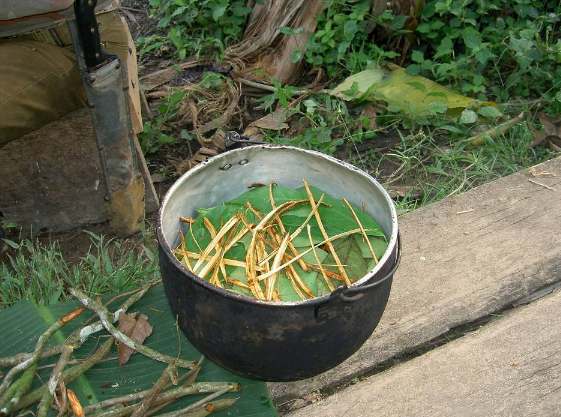 La ayahuasca, un té medicinal y alucinógeno que provoca un viaje “infernal”