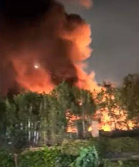 “¡¡Están vivos!!”: Cara Delevingne tras incendio en su mansión